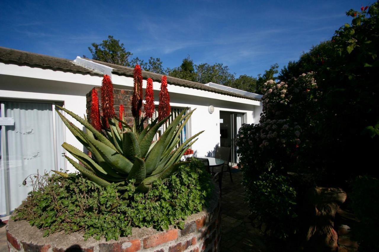 Clouds Guest House Durbanville Ngoại thất bức ảnh